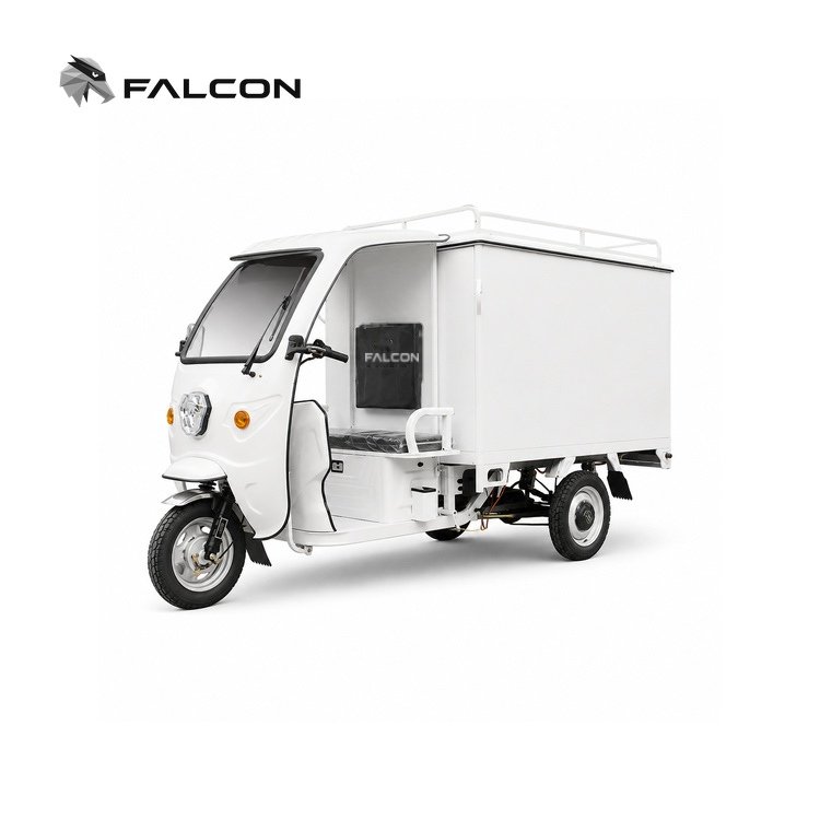 Enclosed Electric Delivery Tricycle