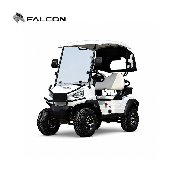 Two-Seat Off-Road Electric Golf Cart
