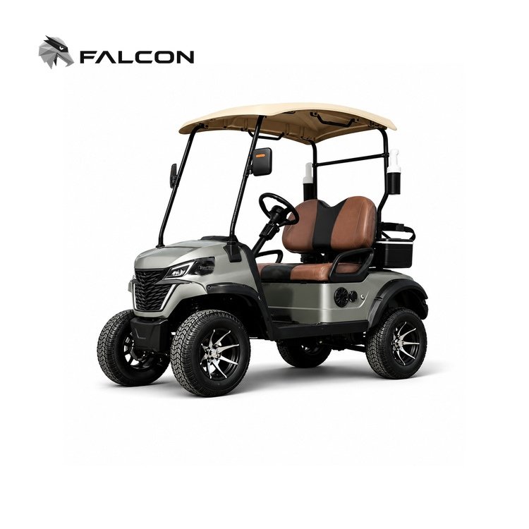 Two-Seat Electric Golf Cart