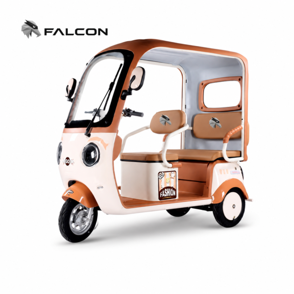 Canopy Leisure Electric Tricycle