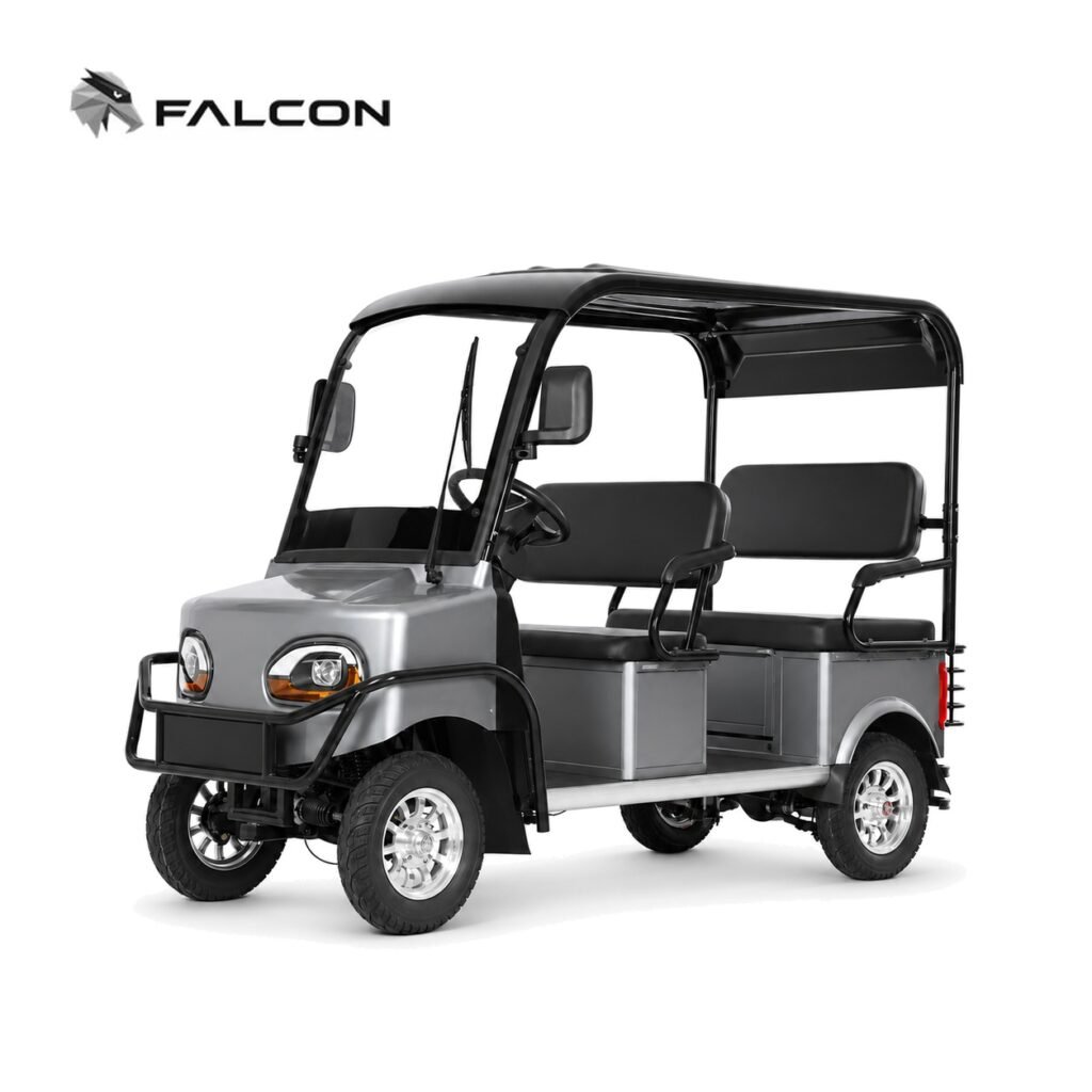 Electric Golf Cart GG-DP006