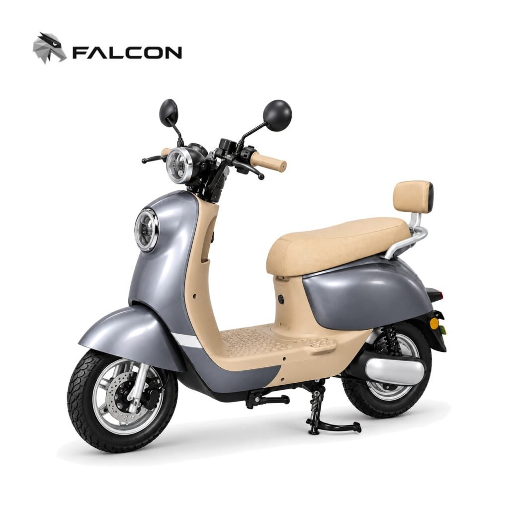Falcon EV Manufacturing Facility