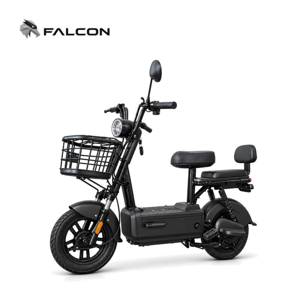 Electric Motorcycle ZR-CP004