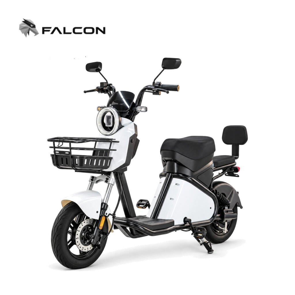 Electric Motorcycle ZR-CP006