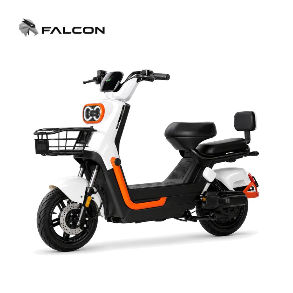 Electric Motorcycle ZR-CP007