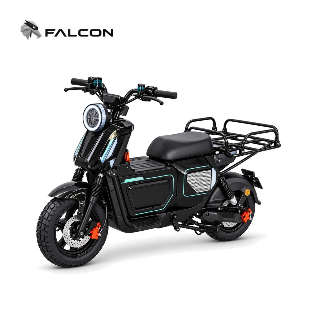Electric Motorcycle ZR-CP009